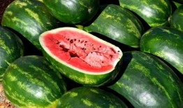 娱乐吃瓜背景模板图高清,揭秘高清背景图背后的吃瓜盛宴